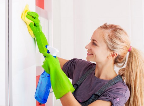 Deep cleaning tools arranged for a kitchen and home cleaning routine