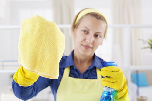 Kitchen deep cleaning in progress around appliances and counters
