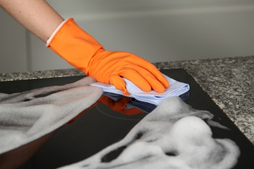 Professional carpet cleaning in a bright living room
