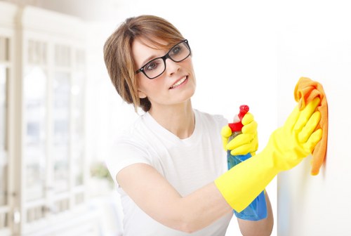 Professional window cleaning on a residential home exterior