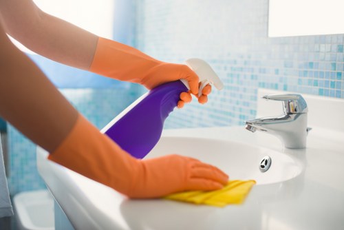 Professional deep cleaning setup with supplies for a full-home refresh