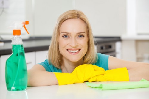 Move in cleaning of a fresh empty living space