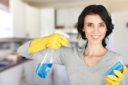 Dust removal and detailing during builders cleaning in Westminster