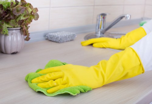 Applying cleaner to oven interior for grease removal