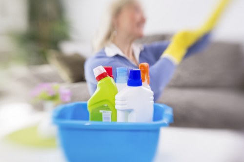 Cleaning supplies organized for house cleaning routine