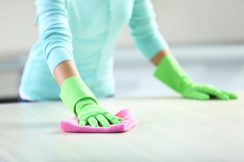 Deep cleaning tools used for short-term rental maintenance