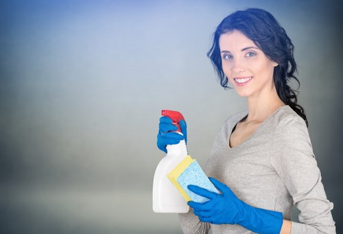 Commercial window cleaning for a storefront with clear glass