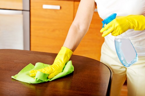 Technician deep cleaning a mattress surface